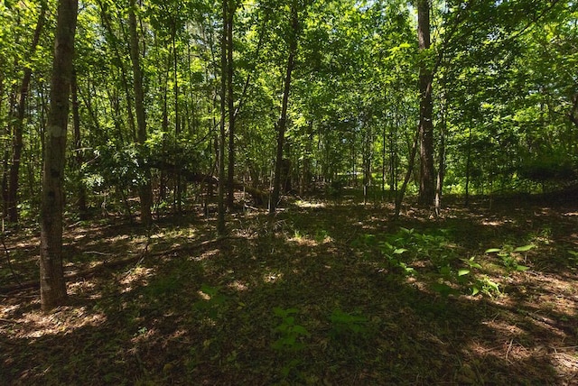 TBD Acres Court, Lynch Station, VA 24571