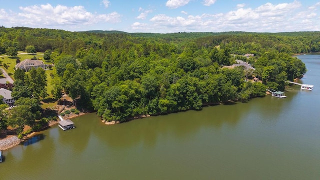 TBD Acres Court, Lynch Station, VA 24571