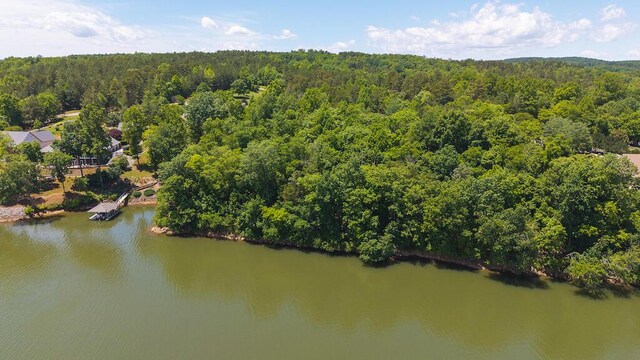 TBD Acres Court, Lynch Station, VA 24571