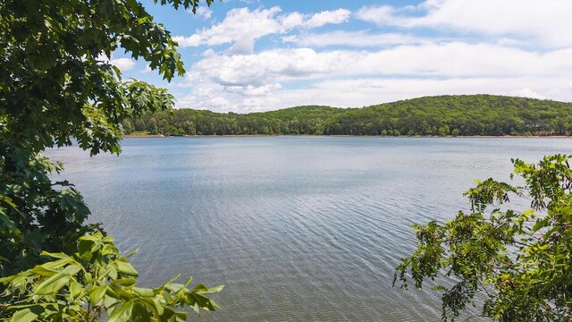 TBD Acres Court, Lynch Station, VA 24571