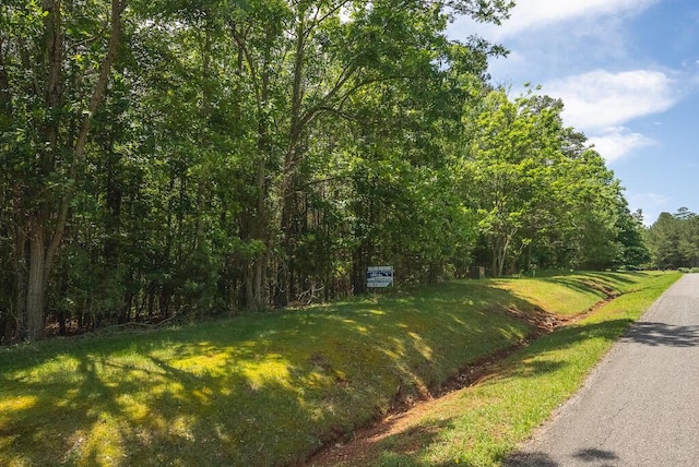 TBD Acres Court, Lynch Station, VA 24571