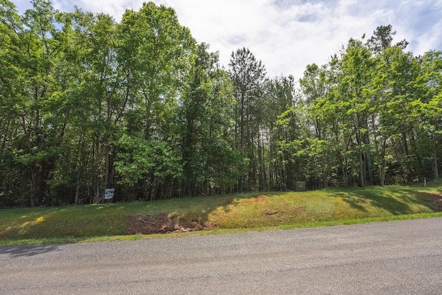 TBD Acres Court, Lynch Station, VA 24571