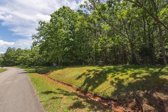 TBD Acres Court, Lynch Station, VA 24571