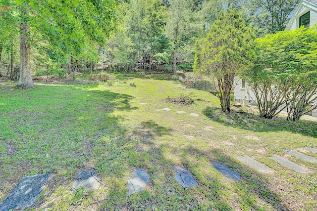 4816 Colonial Ave, Roanoke, VA 24018 - view of yard