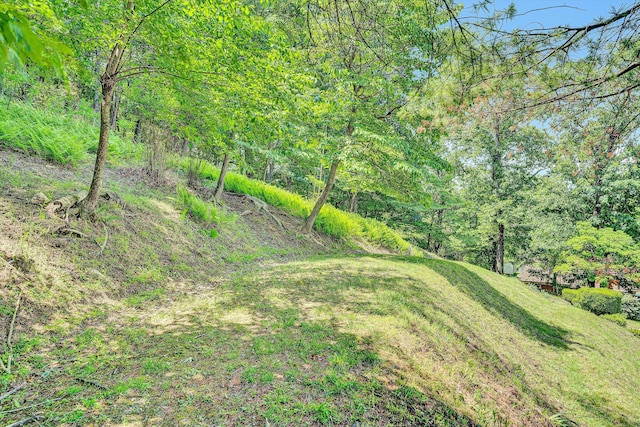 4816 Colonial Ave, Roanoke, VA 24018 - view of yard