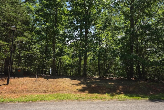 0 Runaway Bay Rd, Lynch Station, VA 24571