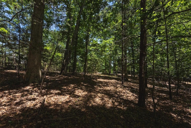 0 Runaway Bay Rd, Lynch Station, VA 24571