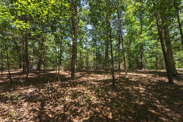 0 Runaway Bay Rd, Lynch Station, VA 24571
