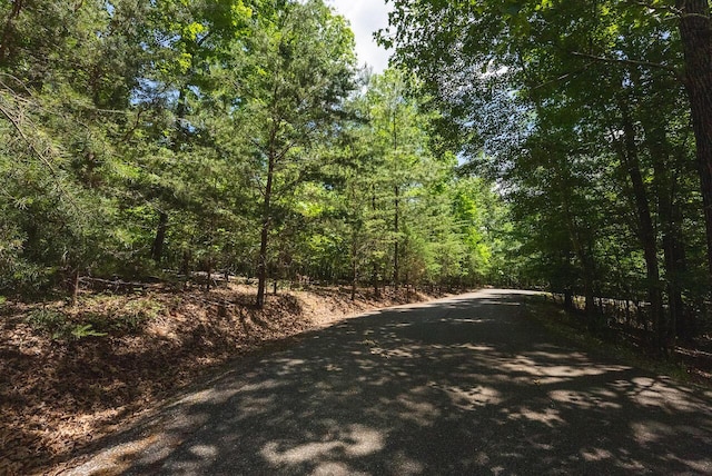 0 Runaway Bay Rd, Lynch Station, VA 24571