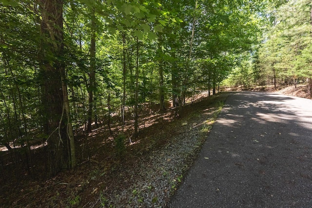 0 Runaway Bay Rd, Lynch Station, VA 24571