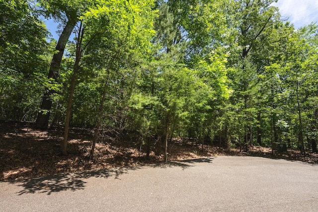 0 Runaway Bay Rd, Lynch Station, VA 24571