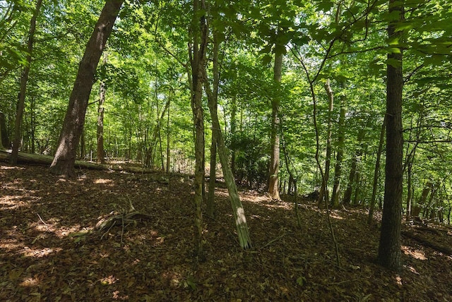 0 Runaway Bay Rd, Lynch Station, VA 24571