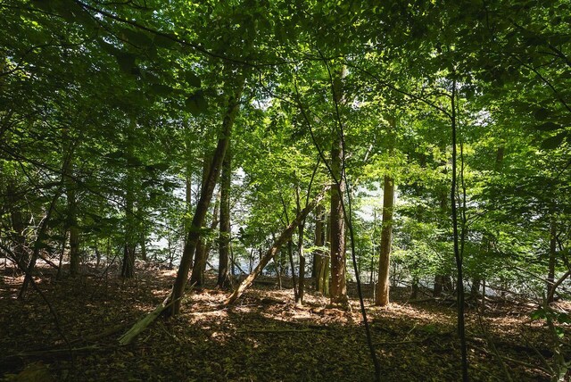 0 Runaway Bay Rd, Lynch Station, VA 24571