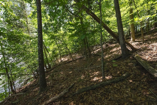 0 Runaway Bay Rd, Lynch Station, VA 24571