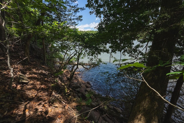 0 Runaway Bay Rd, Lynch Station, VA 24571