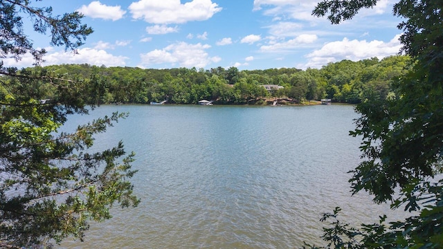 0 Runaway Bay Rd, Lynch Station, VA 24571