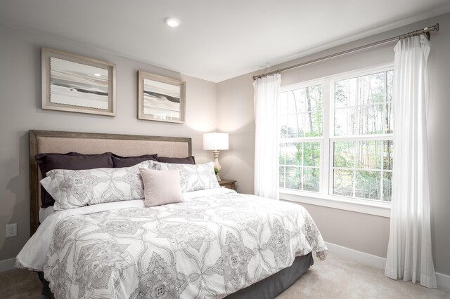 7272 Fairway Ridge Cir, Salem, VA 24153 - bedroom with baseboards, carpet flooring, and recessed lighting