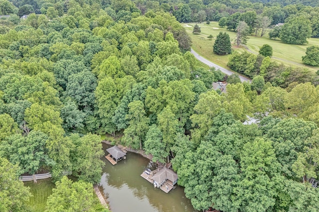 402 Anchor Dr, Moneta, VA 24121 - view of property location featuring a large body of water and a heavily wooded area