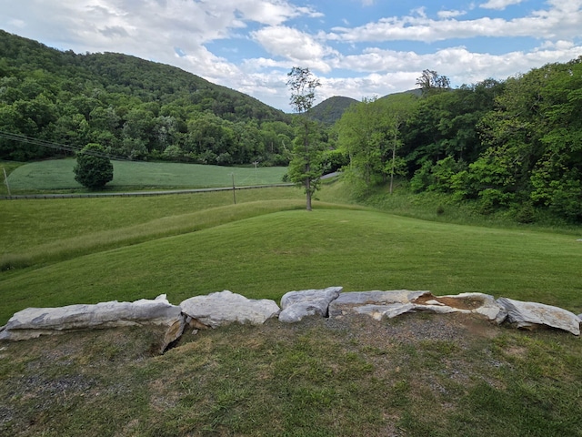 7506 Roaring Run Rd Unit 1, Covington, VA 24426 - view of mountain background featuring a forest