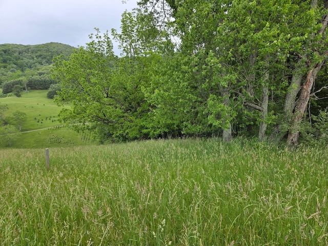 7506 Roaring Run Rd Unit 1, Covington, VA 24426 - view of nature