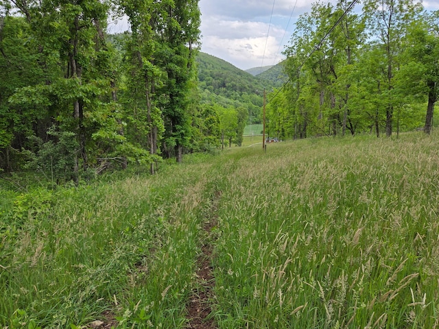7506 Roaring Run Rd Unit 1, Covington, VA 24426 - view of mountain backdrop with a forest