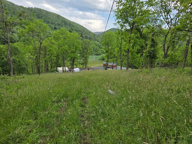 7506 Roaring Run Rd Unit 1, Covington, VA 24426 - mountain view with a heavily wooded area
