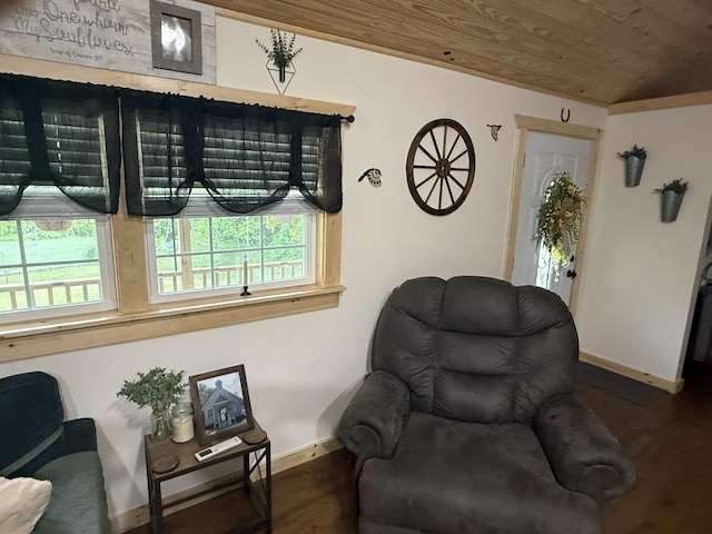 7506 Roaring Run Rd Unit 1, Covington, VA 24426 - sitting room with wooden ceiling, baseboards, and wood finished floors