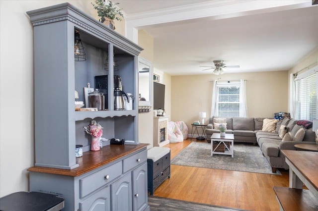 160 Mountain View Dr, Rocky Mount, VA 24151 - living area with healthy amount of natural light, dark wood-type flooring, and ceiling fan