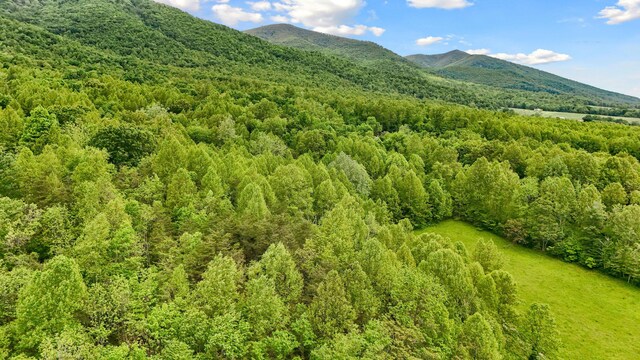 1539 Wheats Valley Rd, Bedford, VA 24523 - mountain view with a heavily wooded area