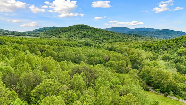 1539 Wheats Valley Rd, Bedford, VA 24523 - view of mountain backdrop featuring a forest