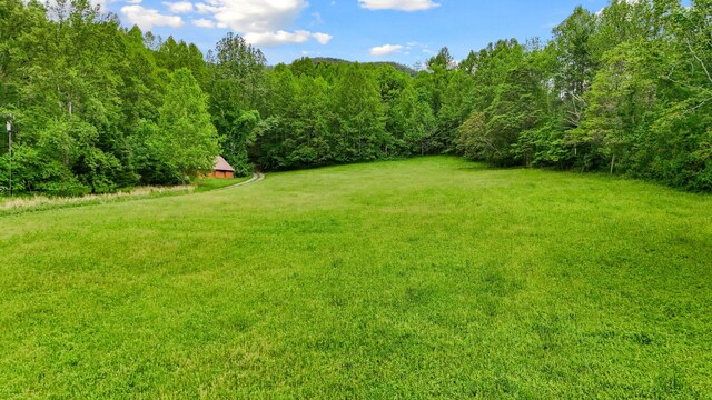 1539 Wheats Valley Rd, Bedford, VA 24523 - view of green lawn featuring a forest view