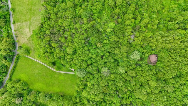 1539 Wheats Valley Rd, Bedford, VA 24523 - aerial view of property and surrounding area