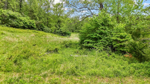 1539 Wheats Valley Rd, Bedford, VA 24523 - view of nature