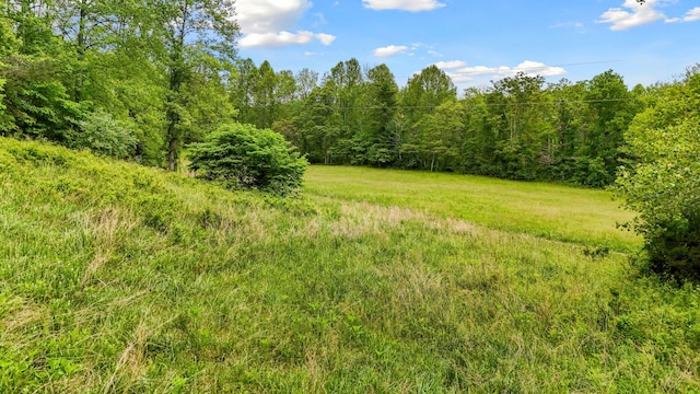 1539 Wheats Valley Rd, Bedford, VA 24523 - view of tree filled area