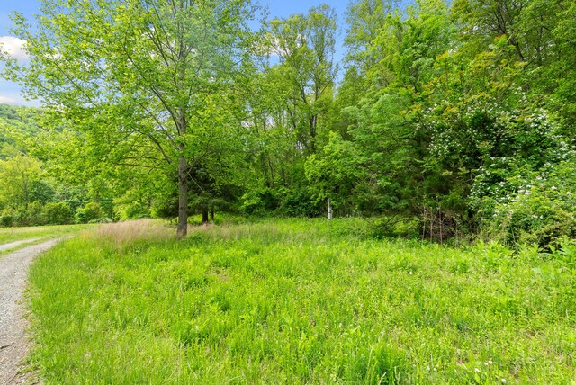 1539 Wheats Valley Rd, Bedford, VA 24523 - view of tree filled area
