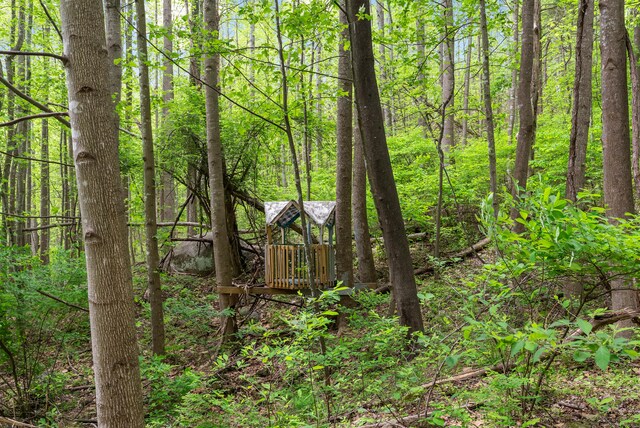 1539 Wheats Valley Rd, Bedford, VA 24523 - view of tree filled area