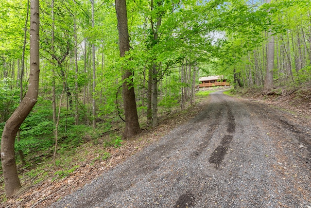 1539 Wheats Valley Rd, Bedford, VA 24523 - view of dirt / gravel driveway featuring a forest view