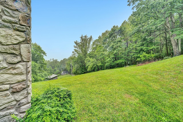 7123 Tall Oak Ln, Roanoke, VA 24018 - view of grassy yard with a forest view