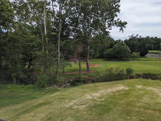 150 Harvey St, Rocky Mount, VA 24151 - view of grassy yard