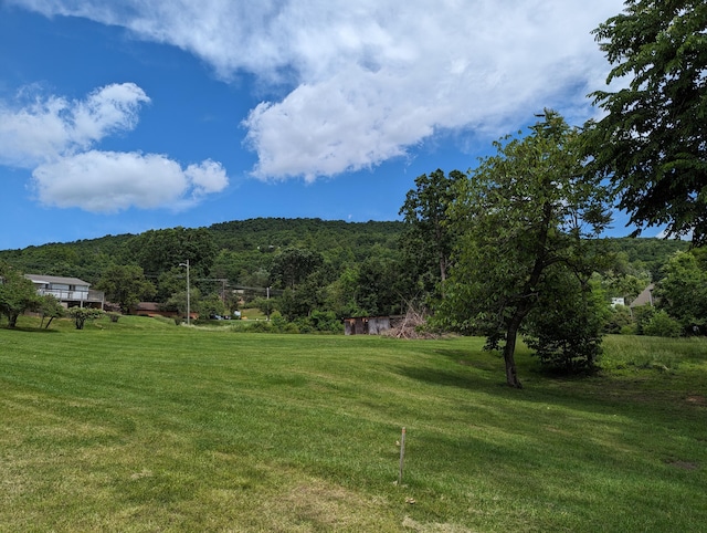 150 Harvey St, Rocky Mount, VA 24151 - view of grassy yard featuring a forest view