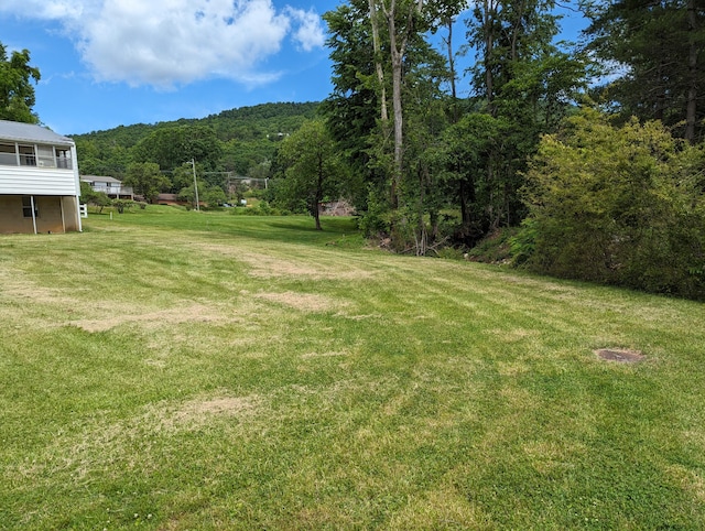 150 Harvey St, Rocky Mount, VA 24151 - view of green lawn with a wooded view