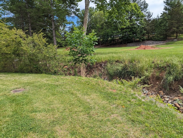 150 Harvey St, Rocky Mount, VA 24151 - view of green lawn