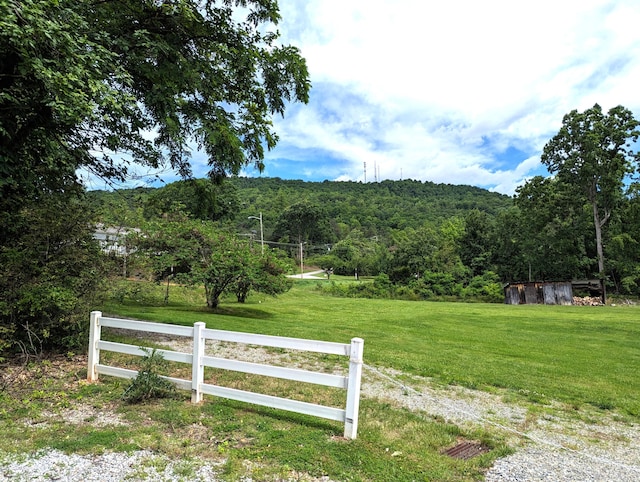 150 Harvey St, Rocky Mount, VA 24151 - view of yard with a view of trees