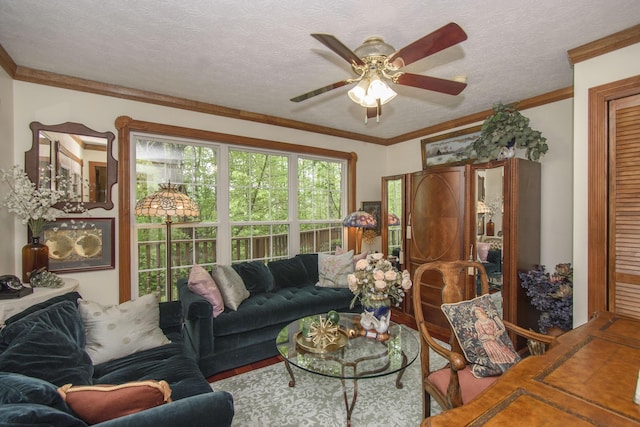157 Burks Hollow Rd SW, Willis, VA 24380 - living room featuring a ceiling fan, ornamental molding, and a textured ceiling