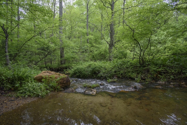 157 Burks Hollow Rd SW, Willis, VA 24380 - view of wooded area