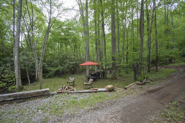 157 Burks Hollow Rd SW, Willis, VA 24380 - view of yard featuring a wooded view