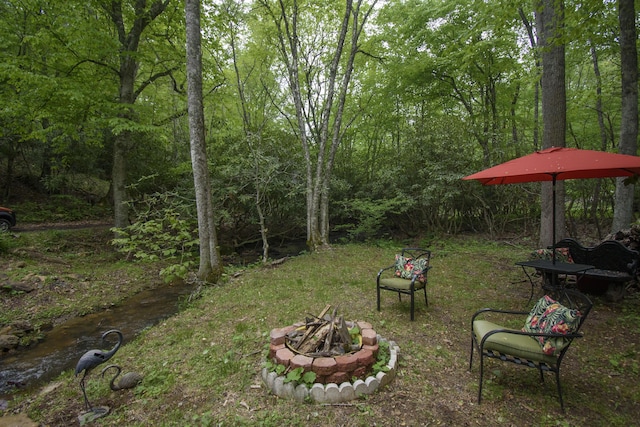 157 Burks Hollow Rd SW, Willis, VA 24380 - view of yard with an outdoor fire pit and a view of trees