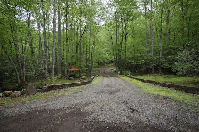 157 Burks Hollow Rd SW, Willis, VA 24380 - view of road with a view of trees