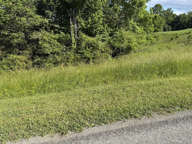0 Green Level Rd, Rocky Mount, VA 24151