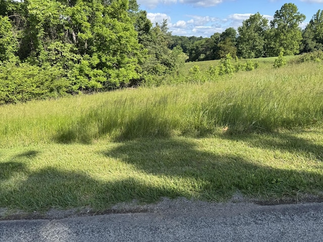 0 Green Level Rd, Rocky Mount, VA 24151